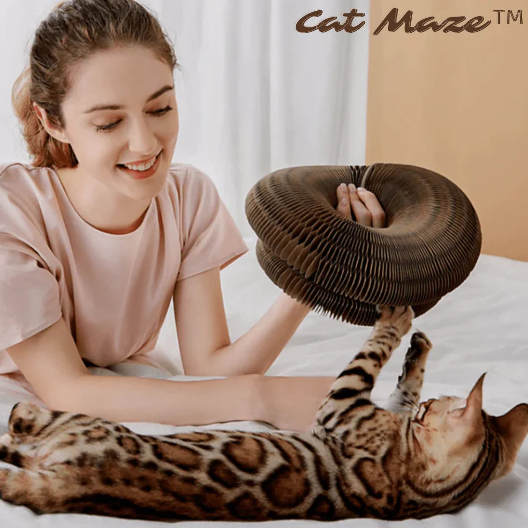 50% RABATT | Cat Maze™ - Katzenspielzeug