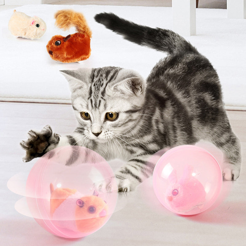 Kids&Pets™ Hamster Laufball Kinder und Haustiere Spielzeug