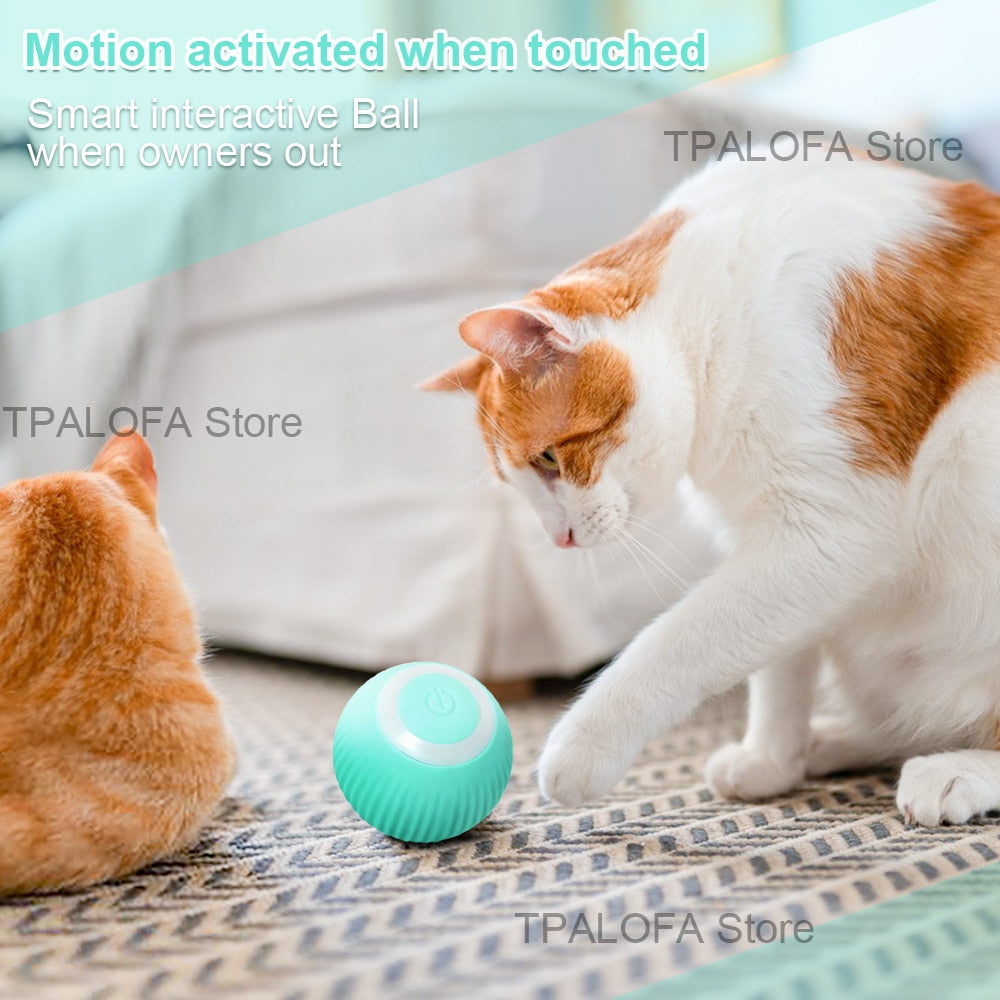 50% RABATT | TPALOFA™ - Automatisches Ballspielzeug für Ihr Haustier