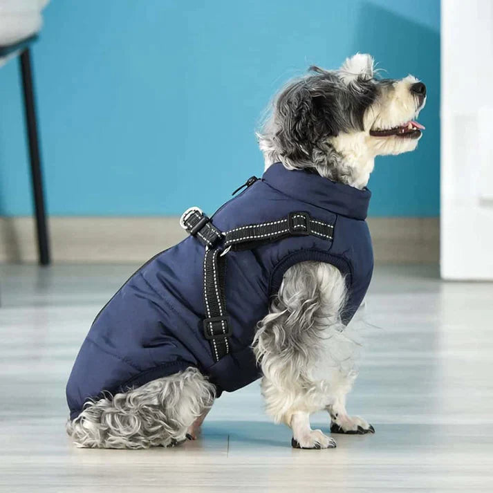 SecureDog™ - Wasserdichter Wintermantel mit Geschirr für Hunde